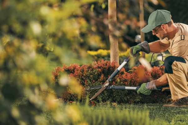 xr:d:DAGCVdQrrWM:36,j:1351504671566392092,t:24041322