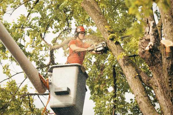 xr:d:DAGCVdQrrWM:36,j:1351504671566392092,t:24041322